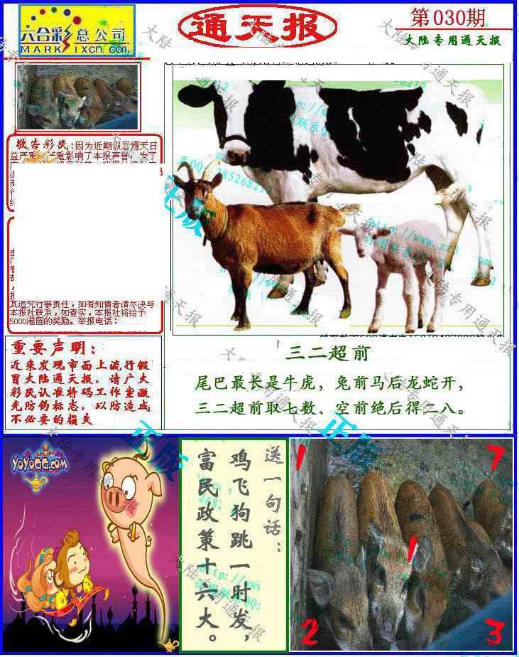 030期大陆通天报[图]
