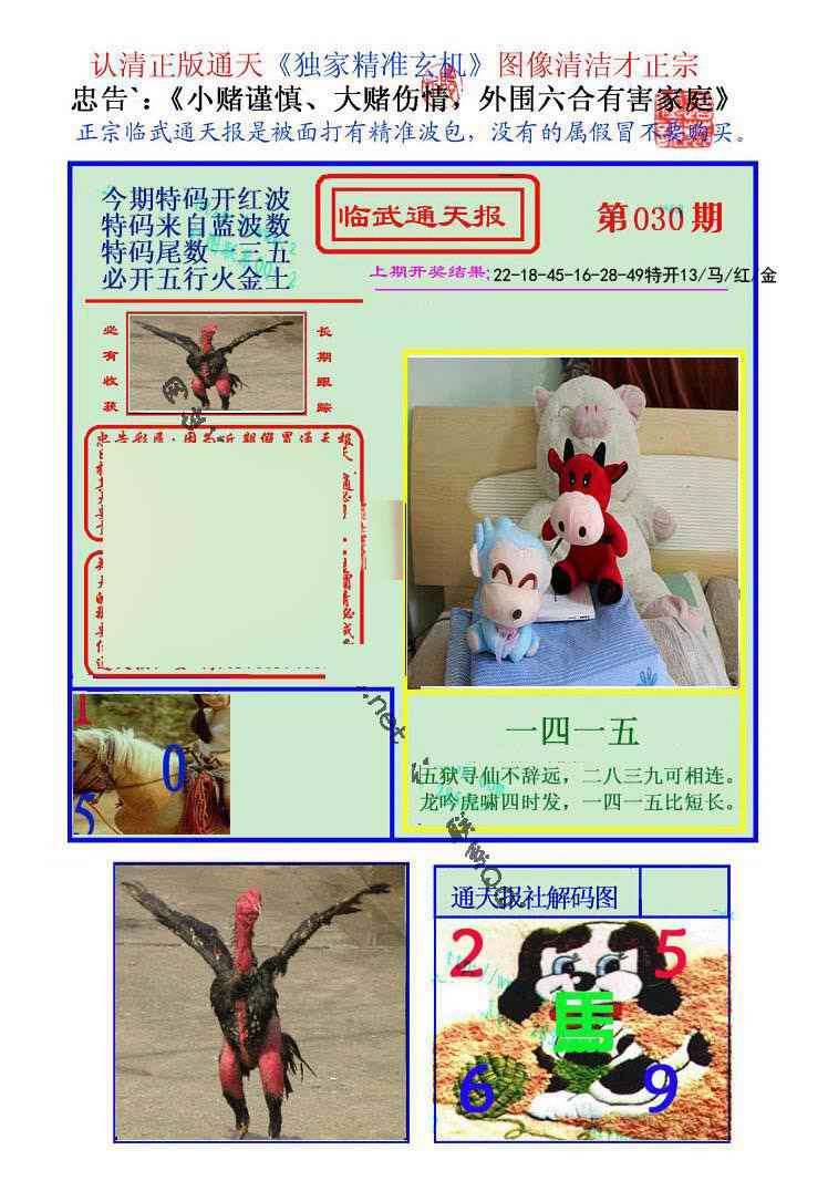 030期临武通天报[图]