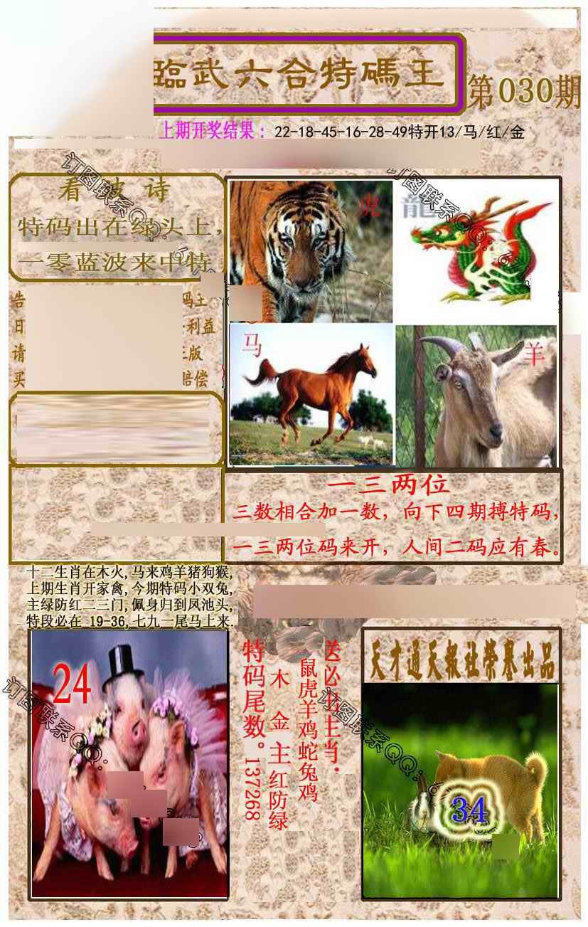 030期临武六合特码王[图]